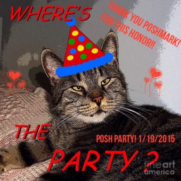 Former closet @ali65 Locked  out, starting over! - Picture 4 of 5